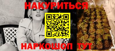 прущие грибы Апшеронск